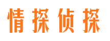 唐海市侦探调查公司